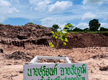 โครงการอาสาสมัครสหกรณ์ กิจกรรมพัฒนาอาสาสมัครสหกรณ์ ... พารามิเตอร์รูปภาพ 20